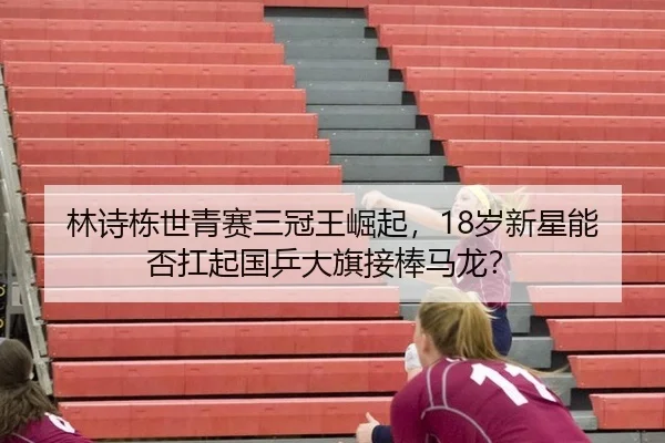 lin-shi-dong-shi-qing-sai-san-guan-wang-jue-qi-sui-xin-xing-neng-fou-kang-qi-guo-ping-da-qi-jie-bang-ma-long-3-967.jpg