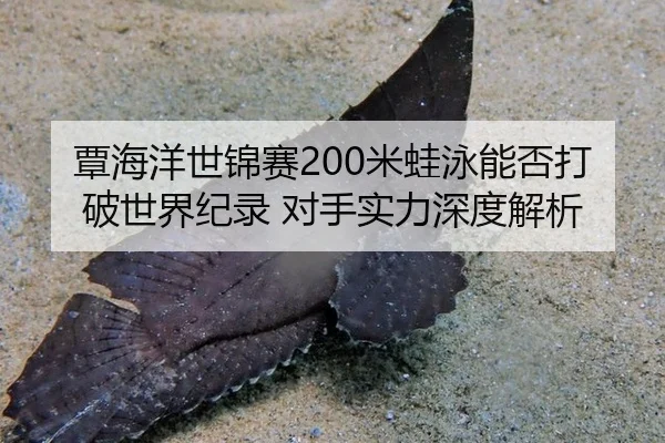 覃海洋世锦赛200米蛙泳能否打破世界纪录 对手实力深度解析